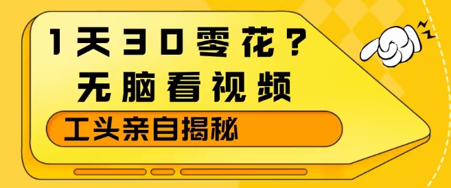 1天30零花？无脑看视频，大佬亲自揭秘-选优云网创