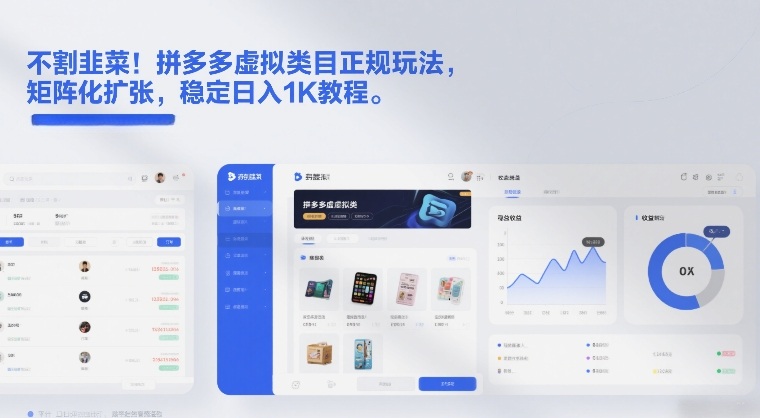 不割韭菜！拼多多虚拟类目正规玩法，矩阵化扩张，稳定日入1K教程【揭秘】-选优云网创