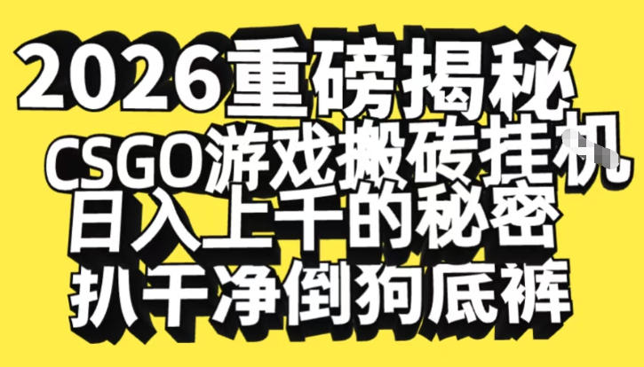 2026开年重磅解密，CSGO游戏搬砖挂G日入1k+的秘密，把倒狗的底裤扒干【揭秘】-选优云网创