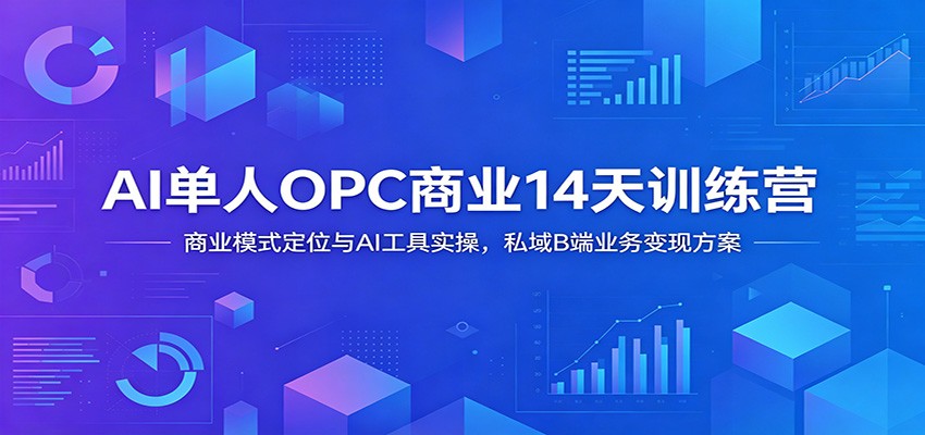 AI单人OPC商业14天训练营：商业模式定位与AI工具实操，私域B端业务变现方案-选优云网创