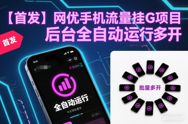【首发】网优手机流量挂G项目，后台全自动运行，可无限批量多开【揭秘】-选优云网创