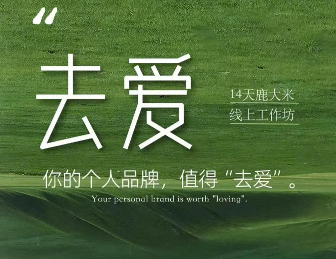 去爱14天鹿大米线上工作坊,你的个人品牌,值得“去爱”-选优云网创
