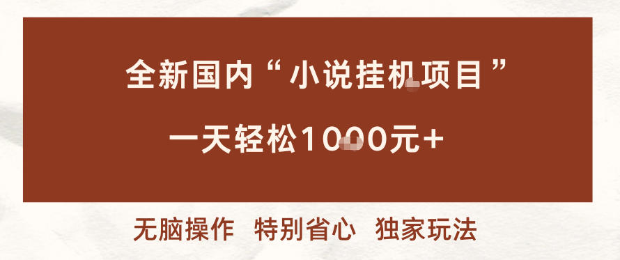 全新国内小说挂G项目，多窗口无脑跑，一天轻松1k+，特别省心【揭秘】-选优云网创