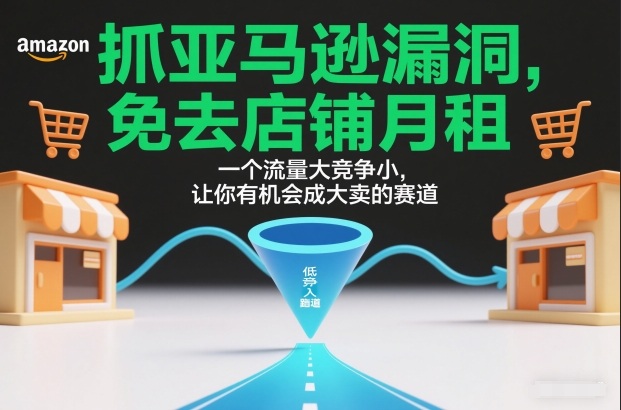 抓亚马逊漏洞，免去店铺月租，一个流量大竞争小，让你有机会成大卖的赛道-选优云网创