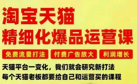 淘宝天猫精细化爆品运营课，免费流量打法-付费广告放大-利润增长-三大核心痛点，一次全部解决-选优云网创