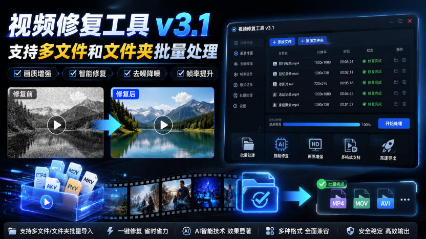 视频修复工具v3.1，支持多文件和文件夹批量处理-选优云网创