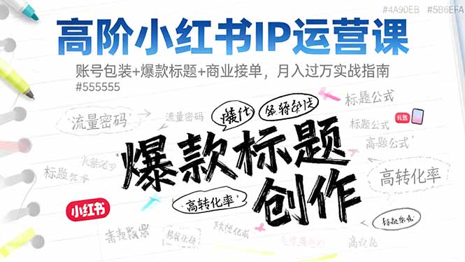 高阶小红书IP运营课：账号包装+爆款标题+商业接单，月入过万实战指南-选优云网创