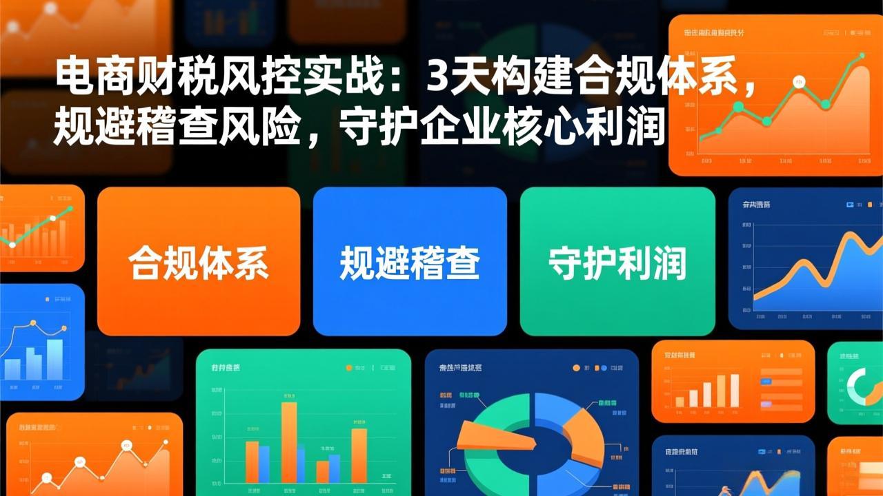电商财税风控实战：3天构建合规体系，规避稽查风险，守护企业核心利润-选优云网创