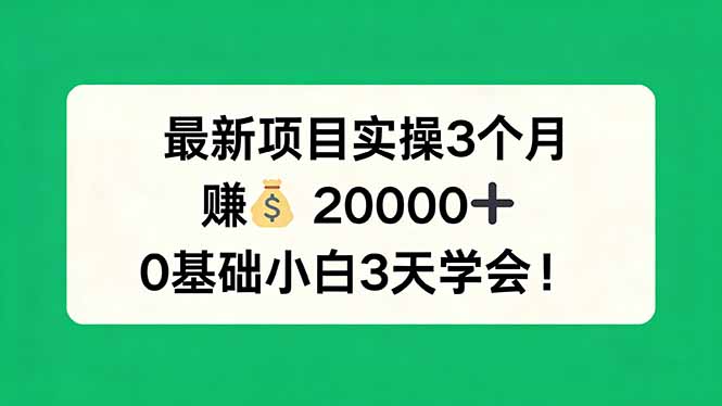 最新项目实操3个月，赚钱20000+，0基础小白3天学会！-选优云网创