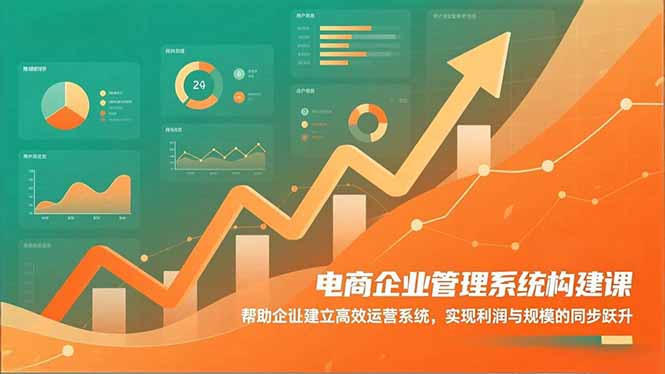 电商企业管理系统构建课：帮助企业建立高效运营系统，实现利润与规模的同步跃升-选优云网创