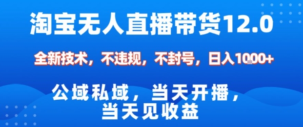 淘宝无人直播12.0，公域私域技术，不封号，不违规布局双十一流量风口，日入1k(独家技术)【揭秘】-选优云网创