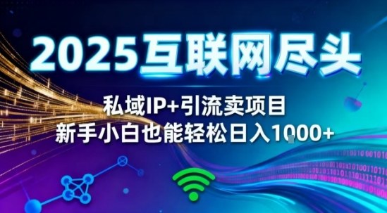 2025网创尽头王炸项目！私域IP+精准引流，新手小白在家躺賺日入1k，零经验也能上手【揭秘】-选优云网创
