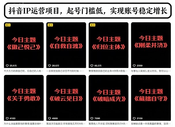 抖音IP运营项目，抖音今日主题玩法，起号门槛低，实现账号稳定增长-选优云网创