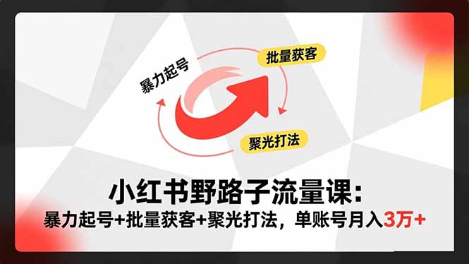小红书野路子流量课：暴力起号+批量获客+聚光打法，单账号月入3万+-选优云网创