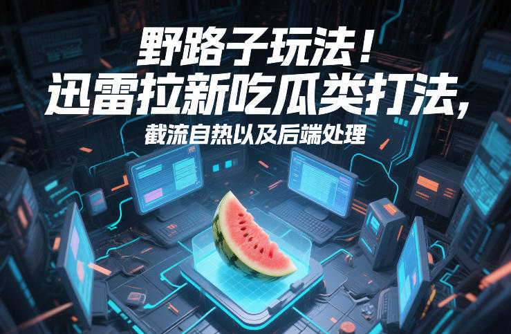 野路子玩法！迅雷拉新吃瓜类打法，截流自热以及后端处理-选优云网创