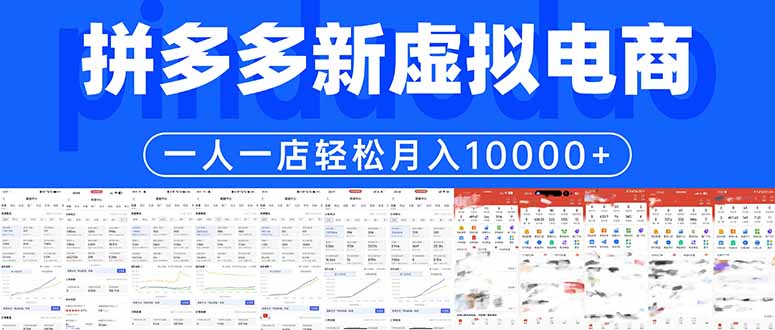 拼多多虚拟电商一人一店轻松月入10000+-选优云网创