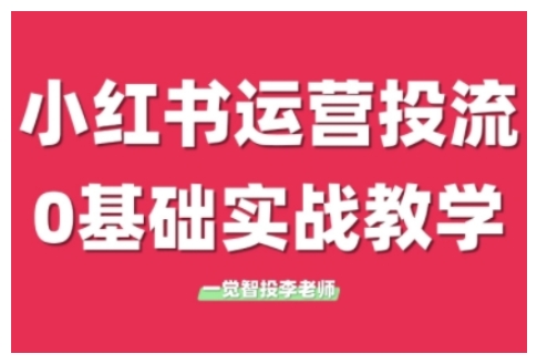 小红书运营投流,小红书广告投放从0到1的实战课,学完即可开始投放(更新26年)-选优云网创