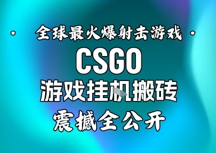 【年底大揭秘】基于全球最火爆的射击CSGO游戏挂G搬砖，日入5张+，震撼公开-选优云网创