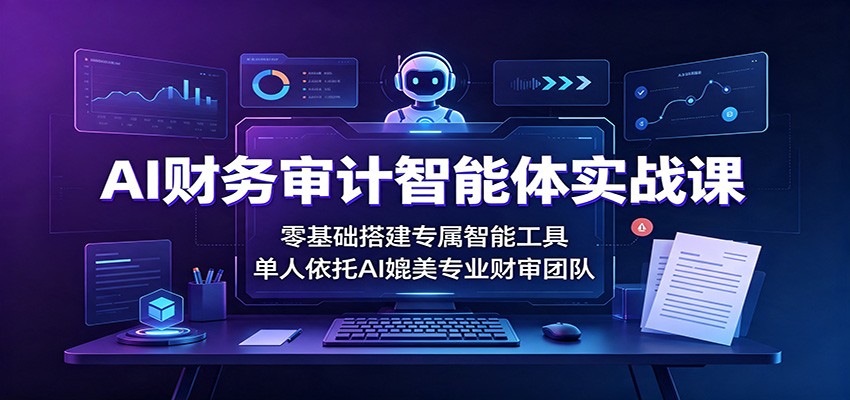 AI财务审计智能体实战课：零基础搭建专属智能工具，单人依托AI媲美专业财审团队-选优云网创