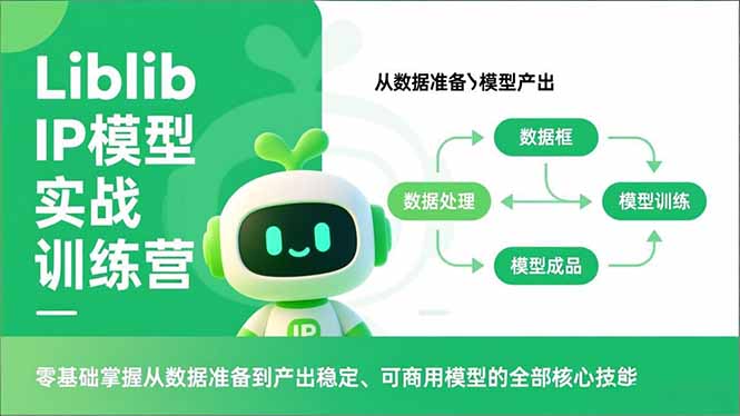 Liblib IP模型实战训练营，零基础掌握从数据准备到产出稳定、可商用模型的全部核心技能-选优云网创