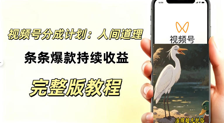视频号新玩法之AI动漫画风励志视频，不用会画画、不用拍摄，持续化收益，详细拆解-选优云网创