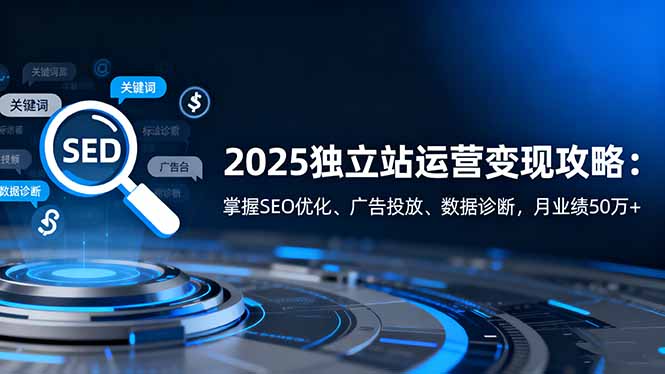 2025独立站运营变现攻略：掌握SEO优化、广告投放、数据诊断，月业绩50万+-选优云网创