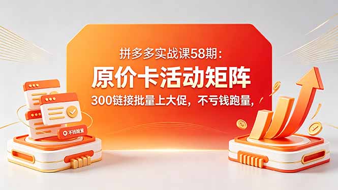 拼多多实战课58期：原价卡活动矩阵，300链接批量上大促，不亏钱跑量-选优云网创