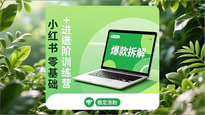 小红书零基础+高阶训练营：安全养号、爆款拆解、长效运营，实现稳定涨粉与变现-选优云网创