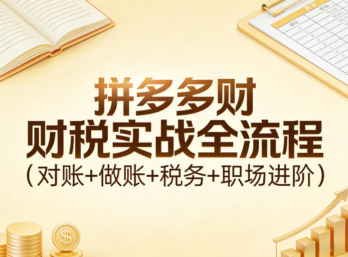 拼多多财税实战全流程(对账+做账+税务+职场进阶)-选优云网创