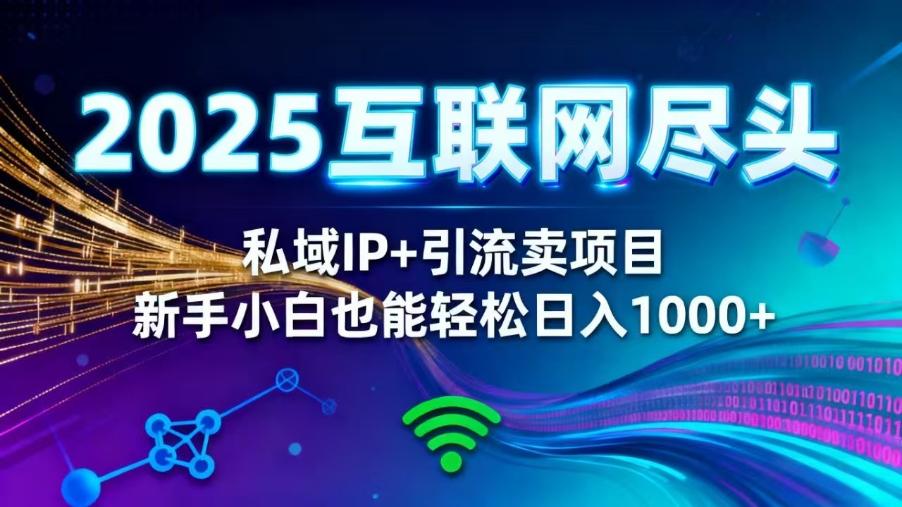 2025网创尽头王炸项目！私域 IP + 精准引流，新手小白在家躺赚日入 1000+-选优云网创