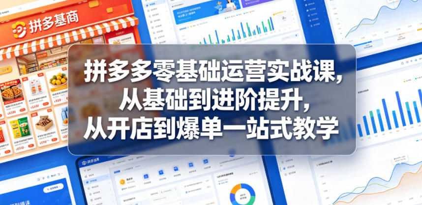 拼多多零基础运营实战课，从基础到进阶提升，从开店到爆单一站式教学-选优云网创