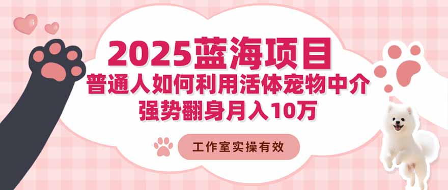 2025蓝海项目：普通人如何利用活体宠物中介，强势翻身月入10万-选优云网创
