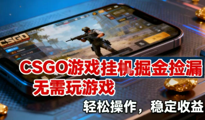 CSGO游戏挂G掘金捡漏，不需要玩游戏，操作简单，收益稳定【揭秘】-选优云网创