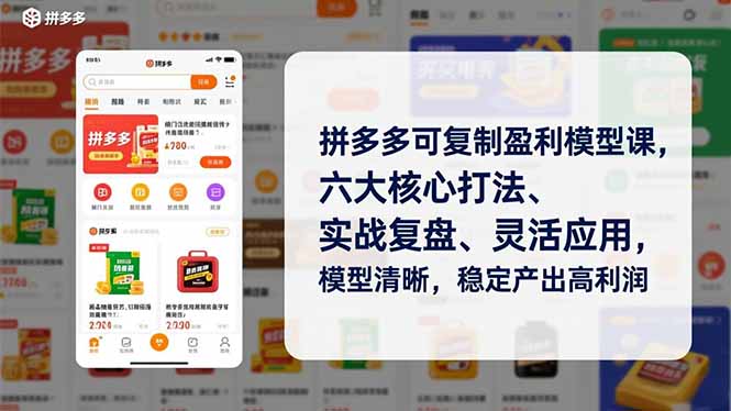 拼多多可复制盈利模型课，六大核心打法、实战复盘、灵活应用，模型清晰，稳定产出高利润-选优云网创