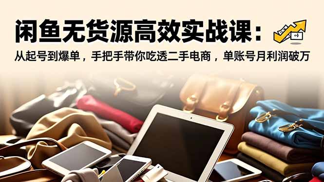 闲鱼无货源高效实战课：从起号到爆单，手把手带你吃透二手电商，单账号月利润破万-选优云网创