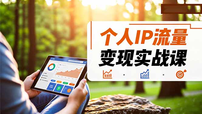 个人IP流量变现实战课，涵盖多平台引流、打造个人IP并实现稳定流量变现-选优云网创