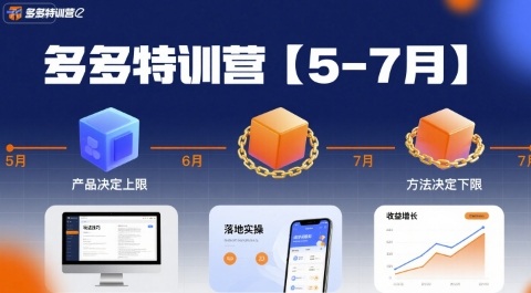 多多特训营，产品决定上限，方法决定下限，各种玩法技巧落地实操(更新)-选优云网创