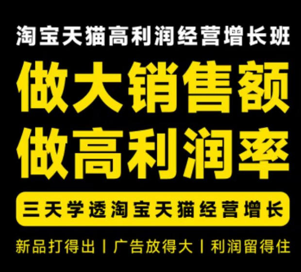 天猫淘宝高利润经营增长班杭州线下课31期8月22-24日，做大销售额做高利润率，三天学透淘宝天猫经营增长-选优云网创