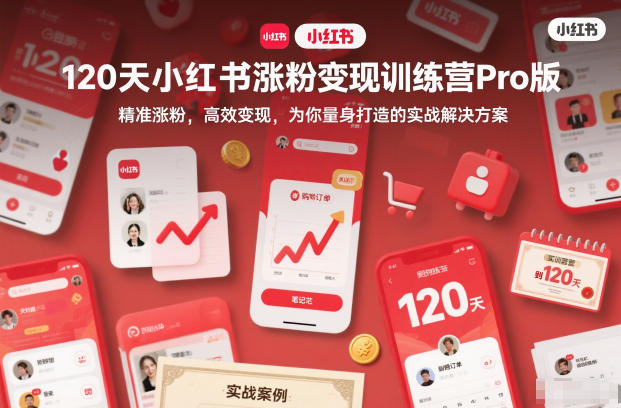 120天小红书涨粉变现训练营Pro版，精准涨粉，高效变现，为你量身打造的实战解决方案-选优云网创
