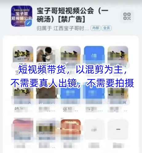 宝子哥头部团队短视频带货，以混剪为主，不需要真人出镜，不需要拍摄【更新11月】-选优云网创
