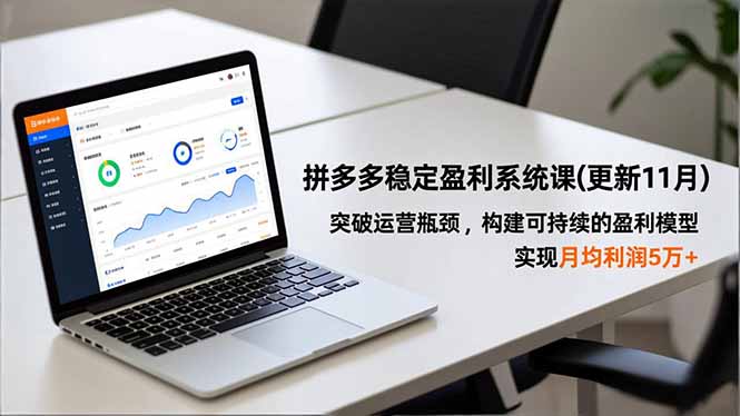 拼多多稳定盈利系统课(更新11月-选优云网创
