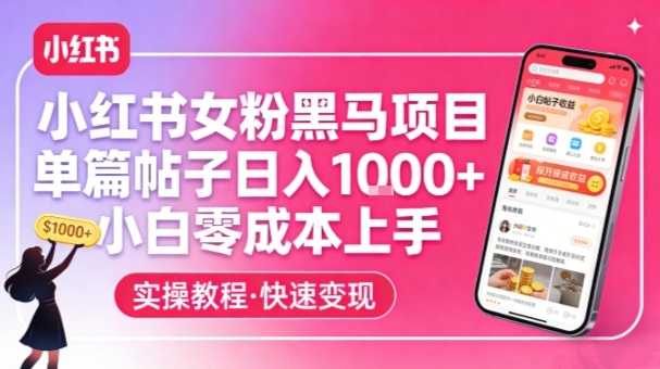 小红书女粉黑马项目，单篇帖子日入1k+，小白零成本上手-选优云网创