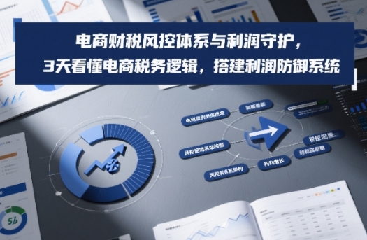 电商财税风控体系与利润守护，3天看懂电商税务逻辑，搭建利润防御系统-选优云网创