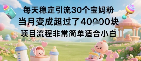 每天稳定引流30个宝妈粉当月变成超过了1W+项目流程非常简单适合小白-选优云网创