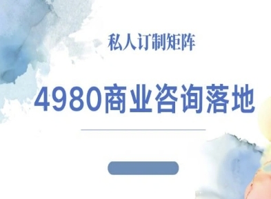 4980商业咨询师落地课程-ip运营高客单教程-选优云网创