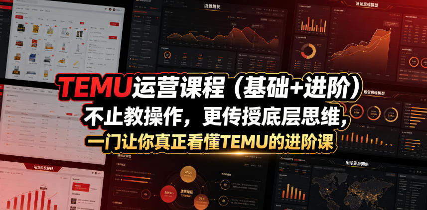 TEMU运营课程(基础+进阶)，不止教操作，更传授底层思维，一门让你真正看懂TEMU的进阶课-选优云网创