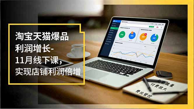 淘宝天猫爆品利润增长-11月线下课，免费流量、付费放大、费比管控，实现店铺利润倍增-选优云网创